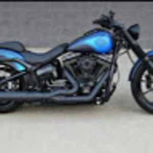 Meet your Posher, Bella